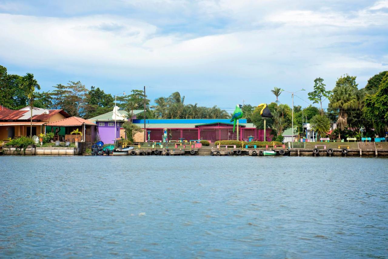 The Corner House Tortuguero Exterior foto
