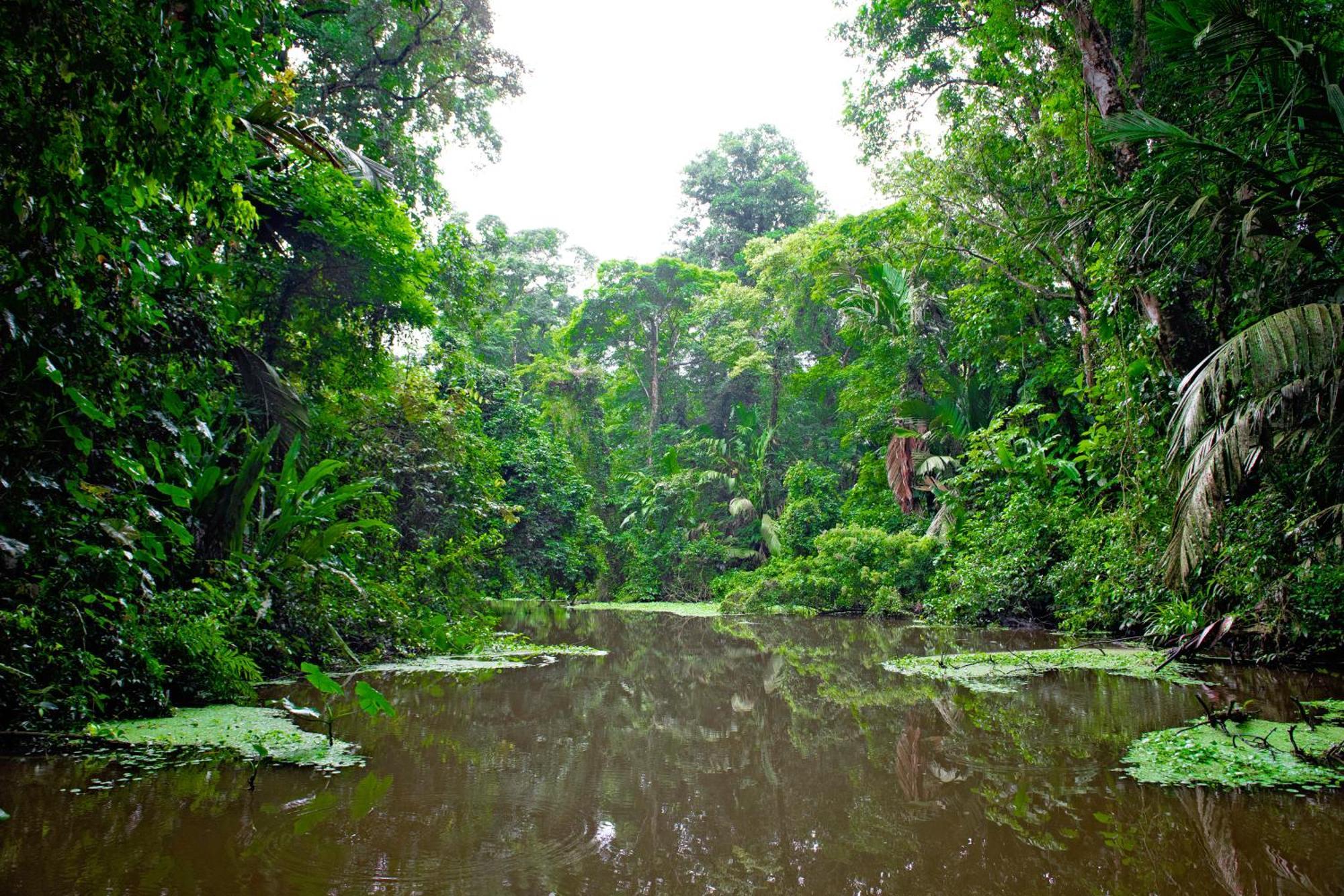 The Corner House Tortuguero Exterior foto